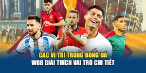 Các Vị Trí Trong Bóng Đá - W88 Giải Thích Vai Trò Chi Tiết